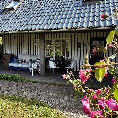 Cardinalis House Pāvilosta