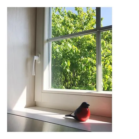 Apartman Cardinalis House *